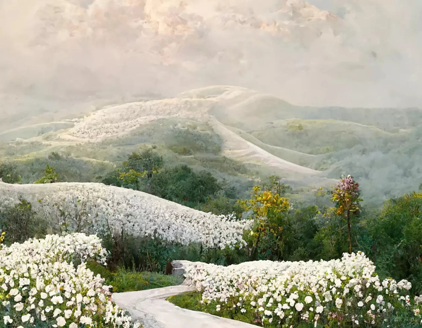 The Pathway In White 8X6 Fleece ( 96 X 72 Inch ) Backdrop