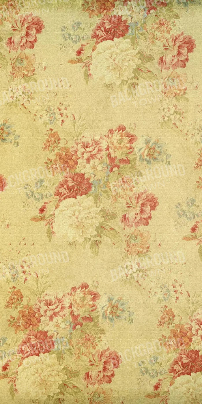 Thelma 10X20 Ultracloth ( 120 X 240 Inch ) Backdrop