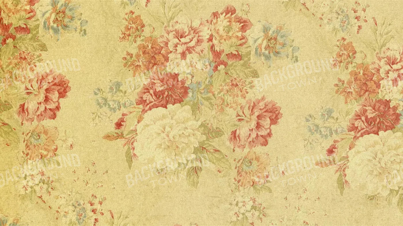 Thelma 14X8 Ultracloth ( 168 X 96 Inch ) Backdrop