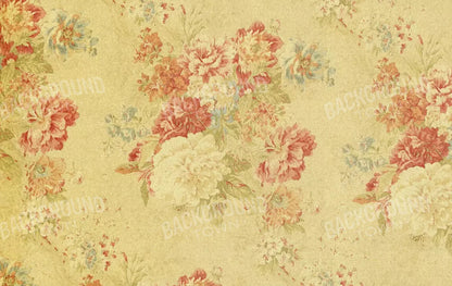 Thelma 16X10 Ultracloth ( 192 X 120 Inch ) Backdrop