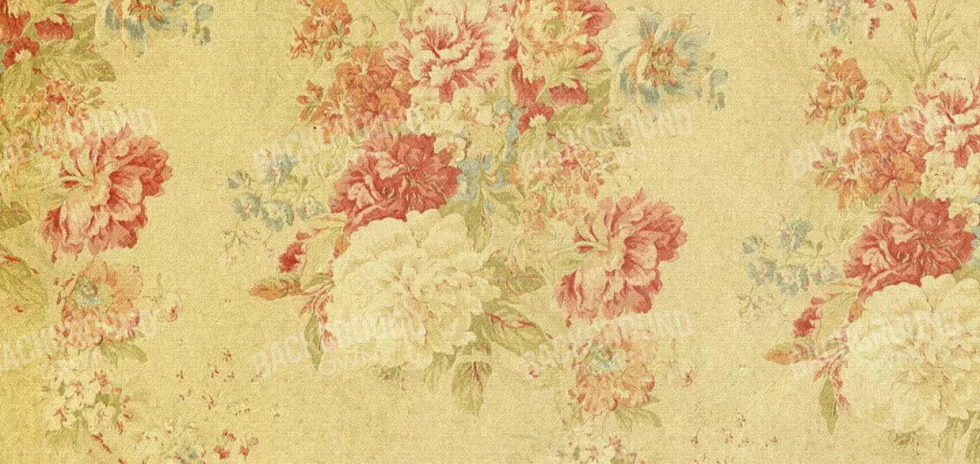 Thelma 16X8 Ultracloth ( 192 X 96 Inch ) Backdrop