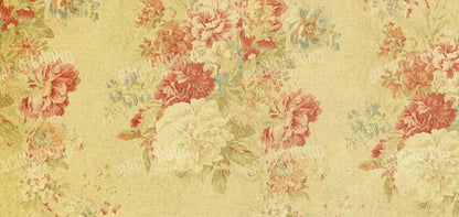 Thelma 16X8 Ultracloth ( 192 X 96 Inch ) Backdrop