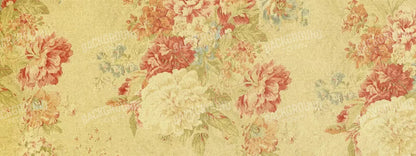 Thelma 20X8 Ultracloth ( 240 X 96 Inch ) Backdrop