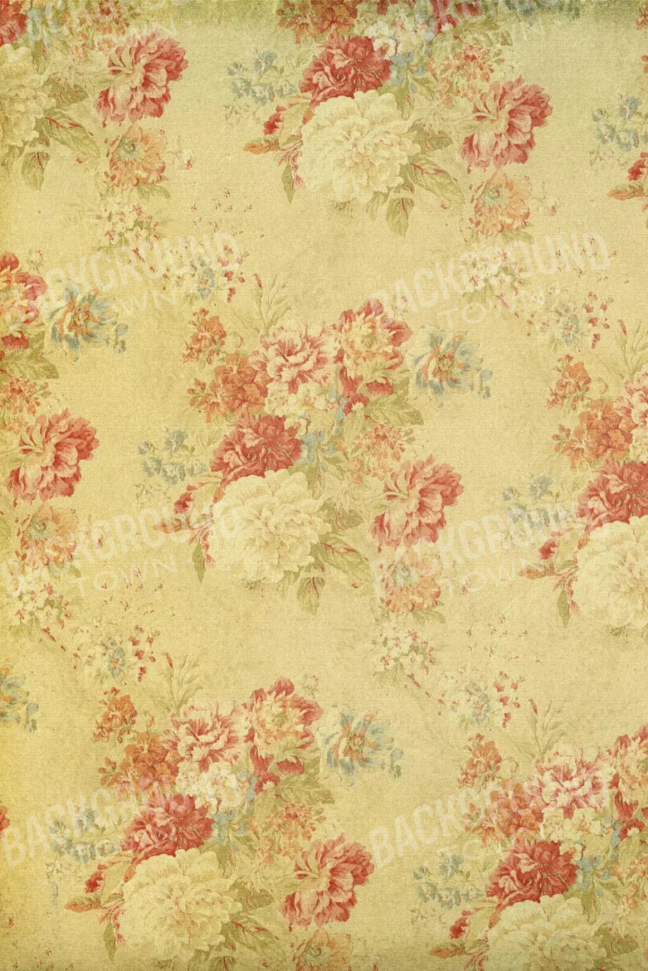 Thelma 5X8 Ultracloth ( 60 X 96 Inch ) Backdrop