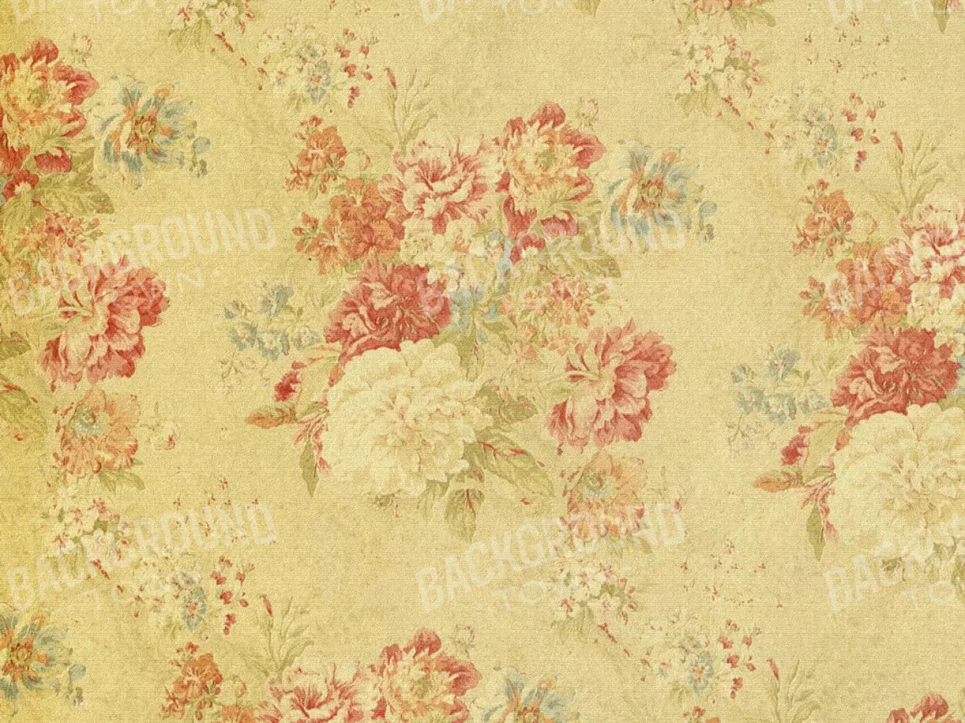 Thelma 68X5 Fleece ( 80 X 60 Inch ) Backdrop