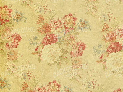 Thelma 68X5 Fleece ( 80 X 60 Inch ) Backdrop