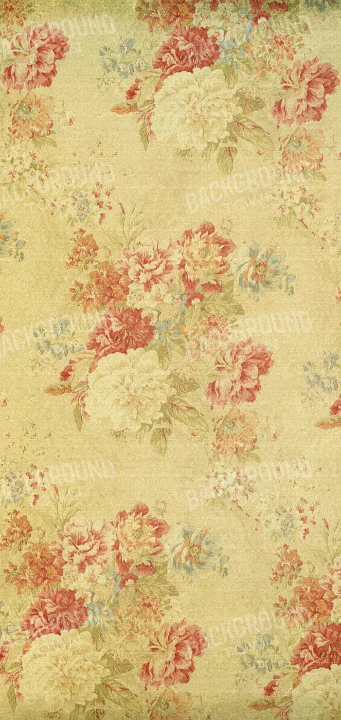 Thelma 8X16 Ultracloth ( 96 X 192 Inch ) Backdrop