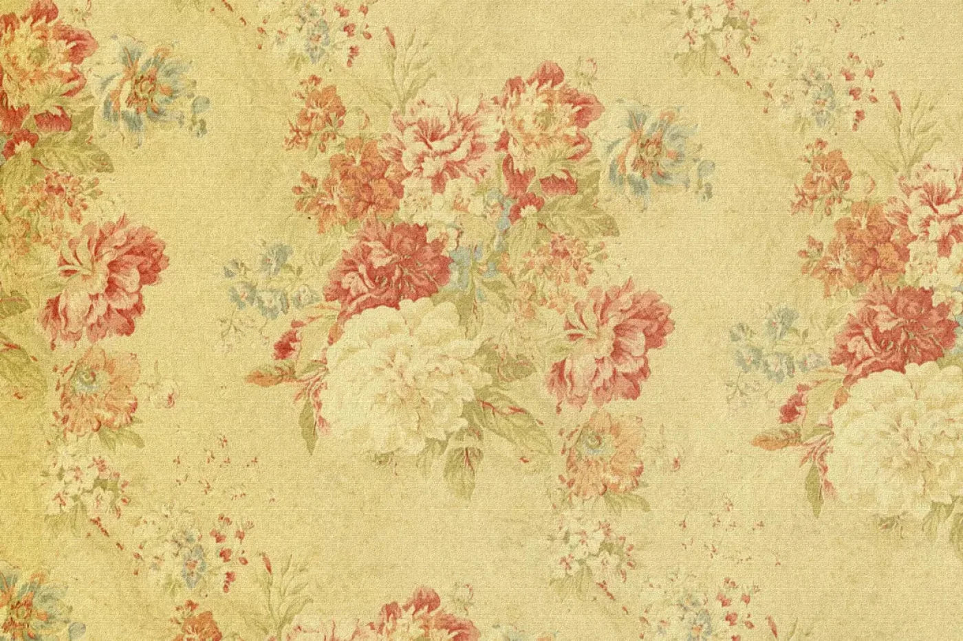 Thelma 8X5 Ultracloth ( 96 X 60 Inch ) Backdrop