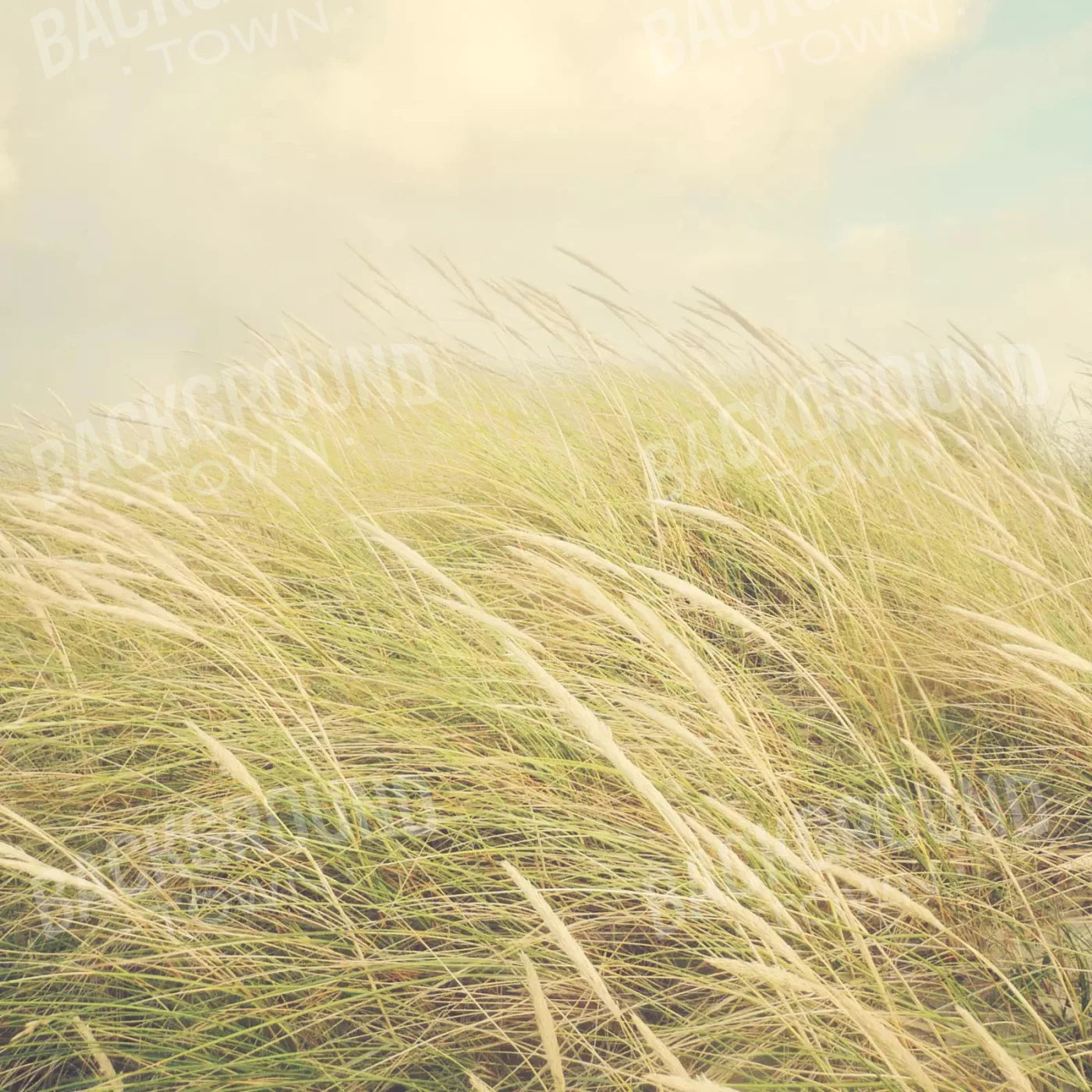 Beige Summer Backdrop for Photography