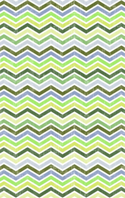 Thomas 10X16 Ultracloth ( 120 X 192 Inch ) Backdrop