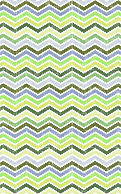 Thomas 9X14 Ultracloth ( 108 X 168 Inch ) Backdrop