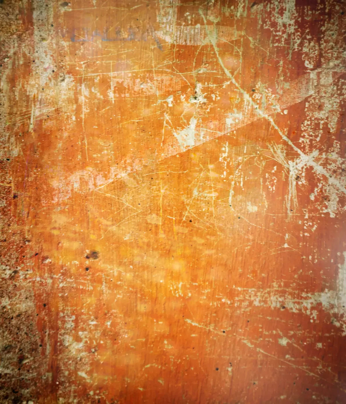Through The Lens 10X12 Ultracloth ( 120 X 144 Inch ) Backdrop