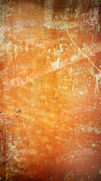 Through The Lens 8X14 Ultracloth ( 96 X 168 Inch ) Backdrop