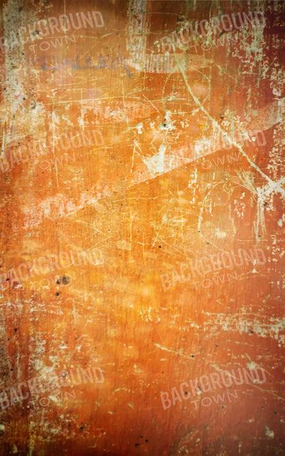 Through The Lens 9X14 Ultracloth ( 108 X 168 Inch ) Backdrop