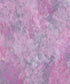 Pink Painted Backdrop for Photography