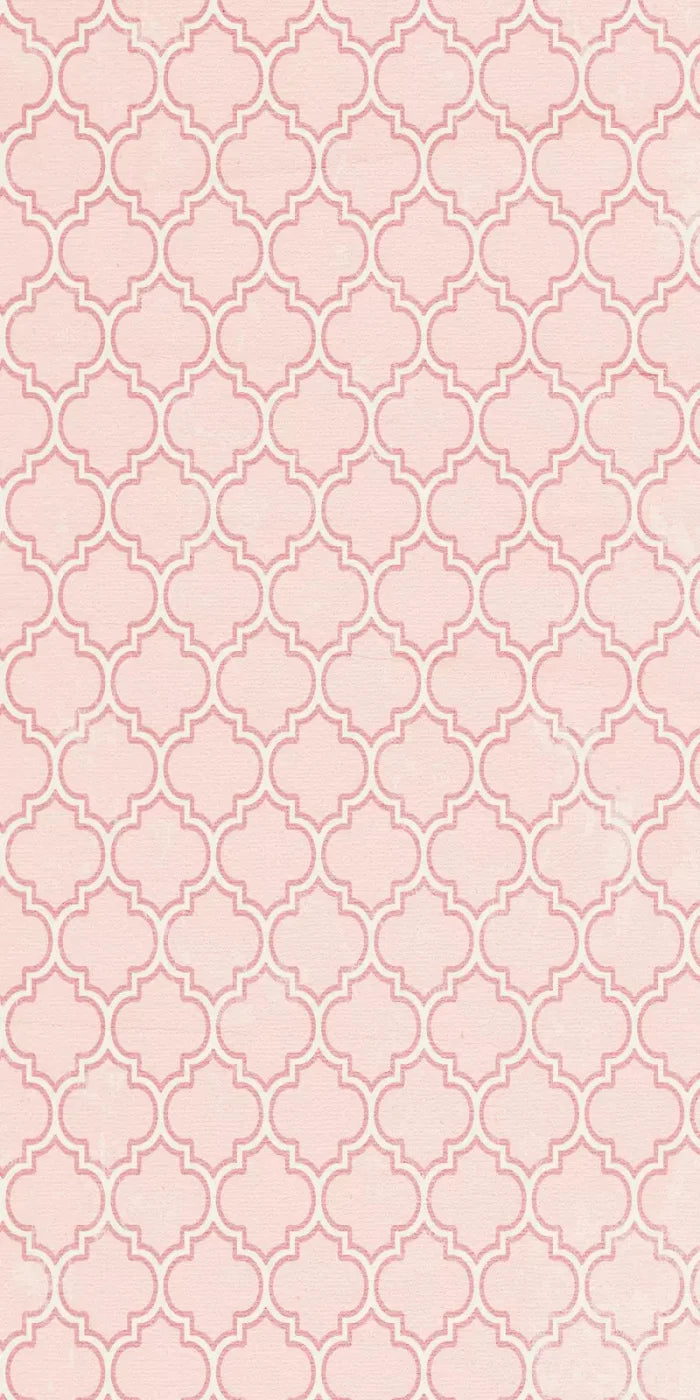 Tickled Pink 10X20 Ultracloth ( 120 X 240 Inch ) Backdrop