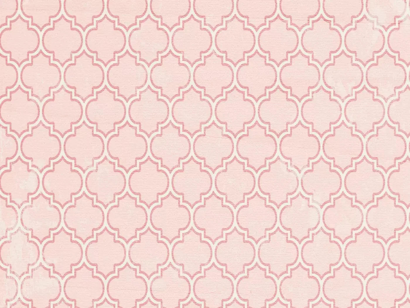Tickled Pink 10X8 Fleece ( 120 X 96 Inch ) Backdrop