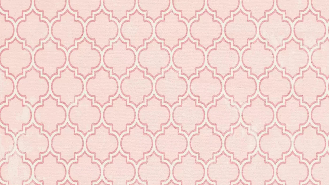 Tickled Pink 14X8 Ultracloth ( 168 X 96 Inch ) Backdrop