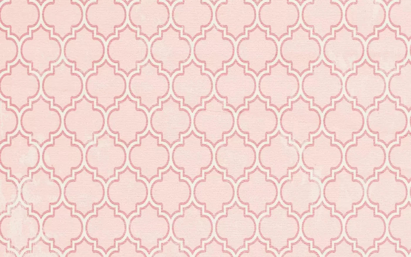 Tickled Pink 14X9 Ultracloth ( 168 X 108 Inch ) Backdrop