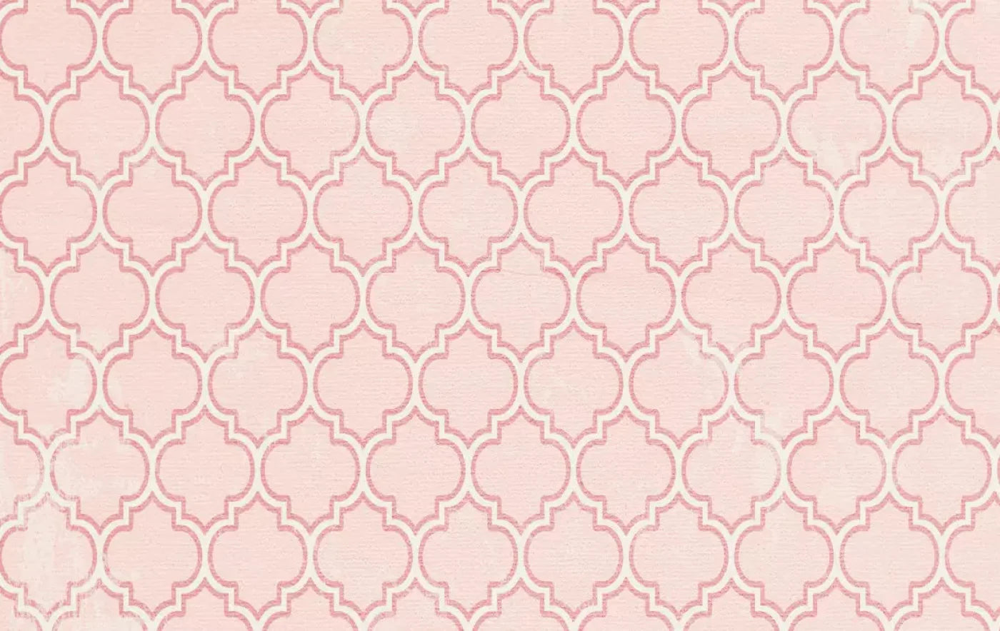 Tickled Pink 16X10 Ultracloth ( 192 X 120 Inch ) Backdrop