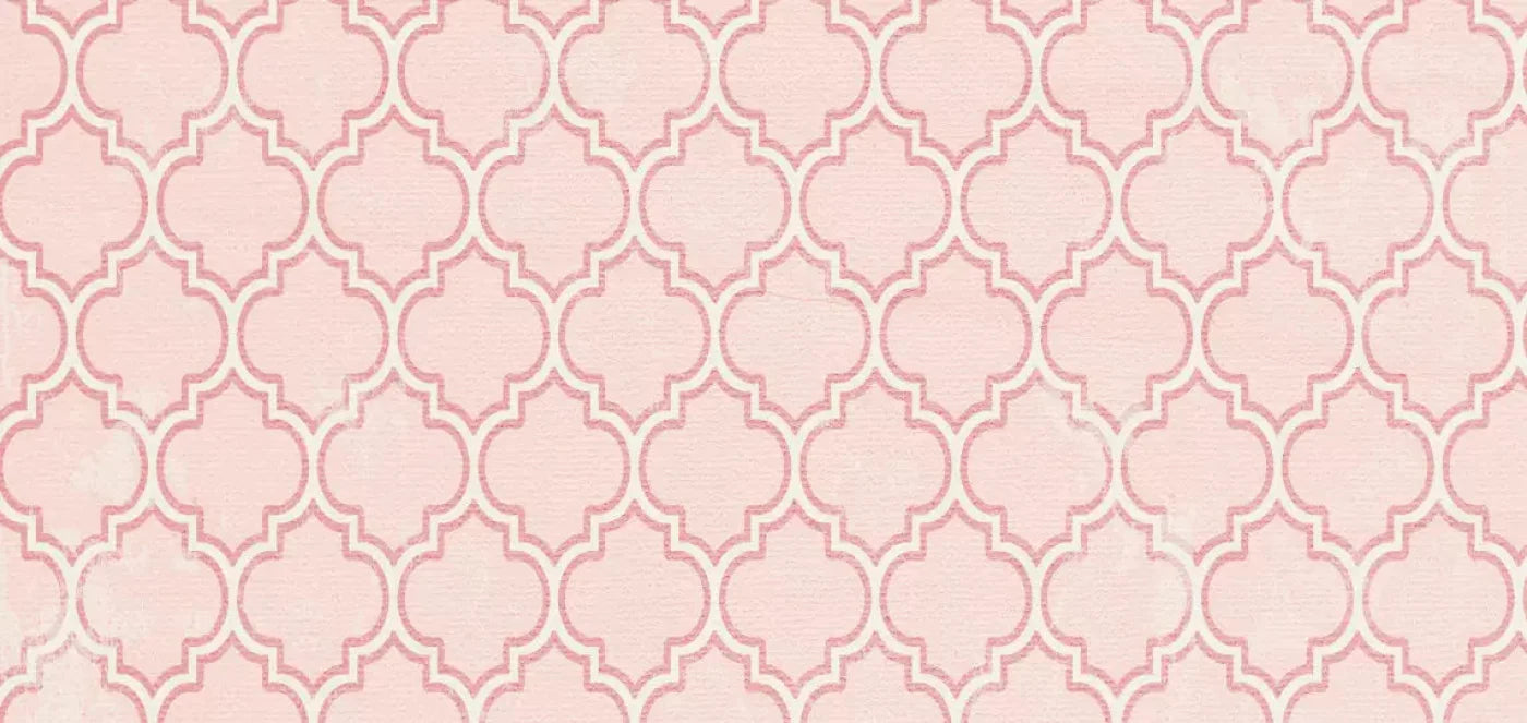 Tickled Pink 16X8 Ultracloth ( 192 X 96 Inch ) Backdrop