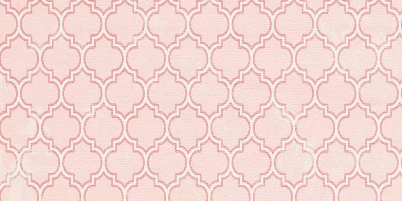 Tickled Pink 20X10 Ultracloth ( 240 X 120 Inch ) Backdrop