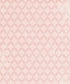 Pink Pattern Backdrop for Photography
