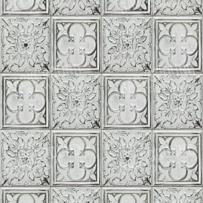 Tidy Whitey 10X10 Ultracloth ( 120 X Inch ) Backdrop