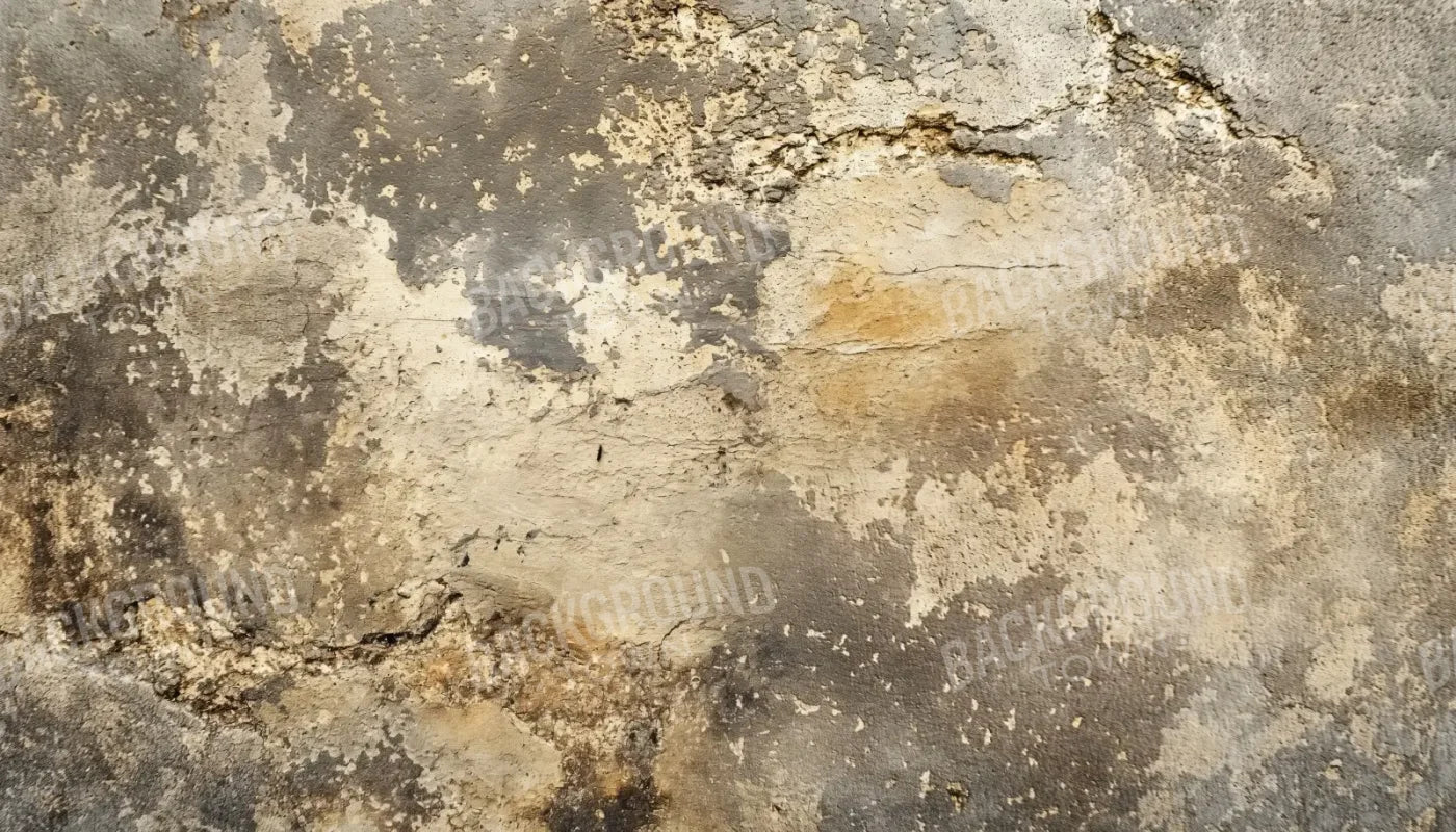 Timeless Stone 14’x8’ UltraCloth (168 x 96 inch) Backdrop