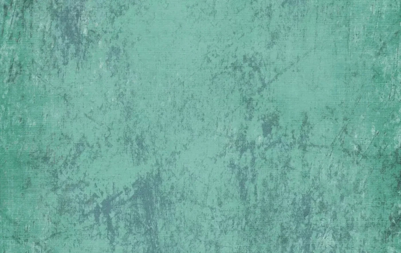 Timmy 16X10 Ultracloth ( 192 X 120 Inch ) Backdrop