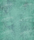 Green Textured Backdrop for Photography