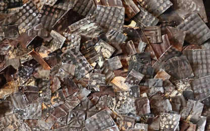 Tin Snips 14X9 Ultracloth ( 168 X 108 Inch ) Backdrop