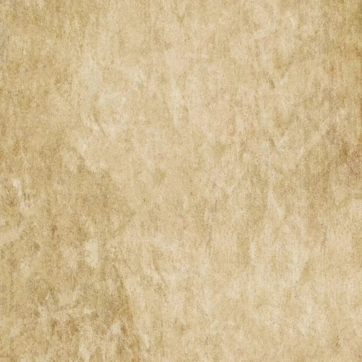 Toasty 10X10 Ultracloth ( 120 X Inch ) Backdrop