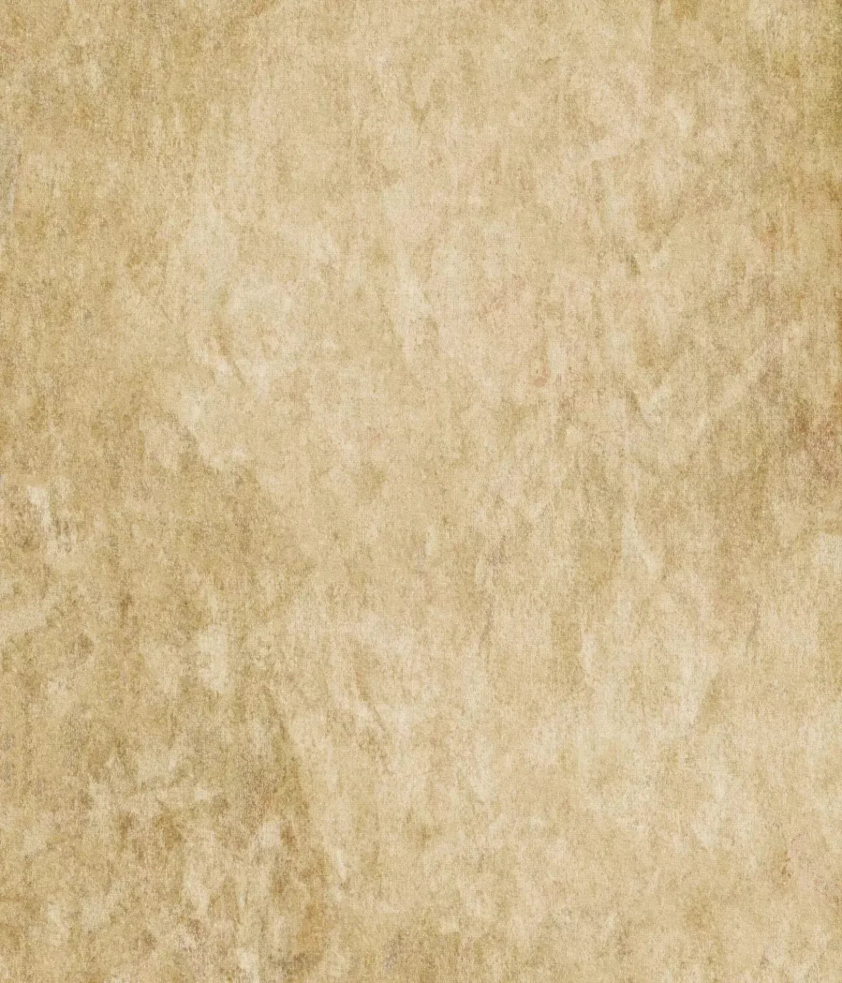 Toasty 10X12 Ultracloth ( 120 X 144 Inch ) Backdrop