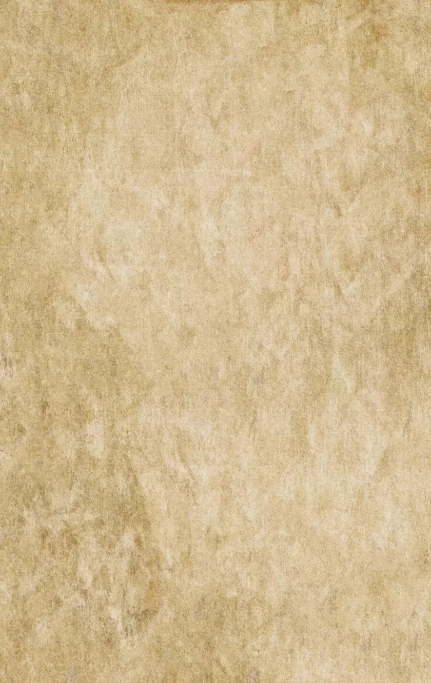 Toasty 10X16 Ultracloth ( 120 X 192 Inch ) Backdrop