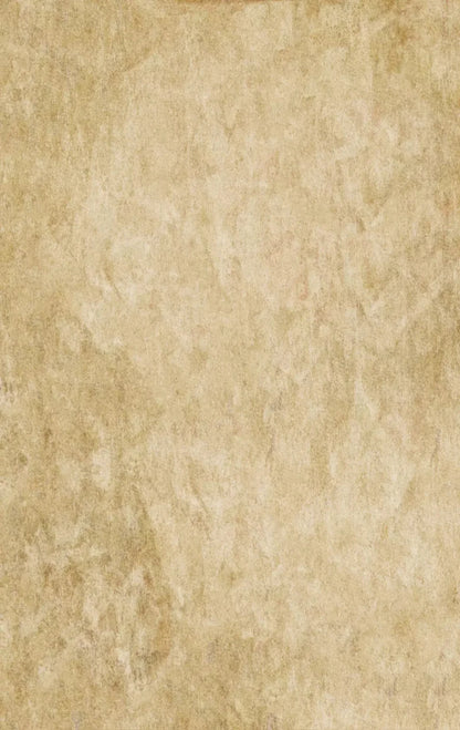 Toasty 10X16 Ultracloth ( 120 X 192 Inch ) Backdrop