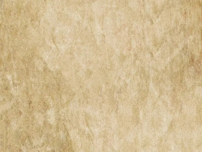 Toasty 10X8 Fleece ( 120 X 96 Inch ) Backdrop