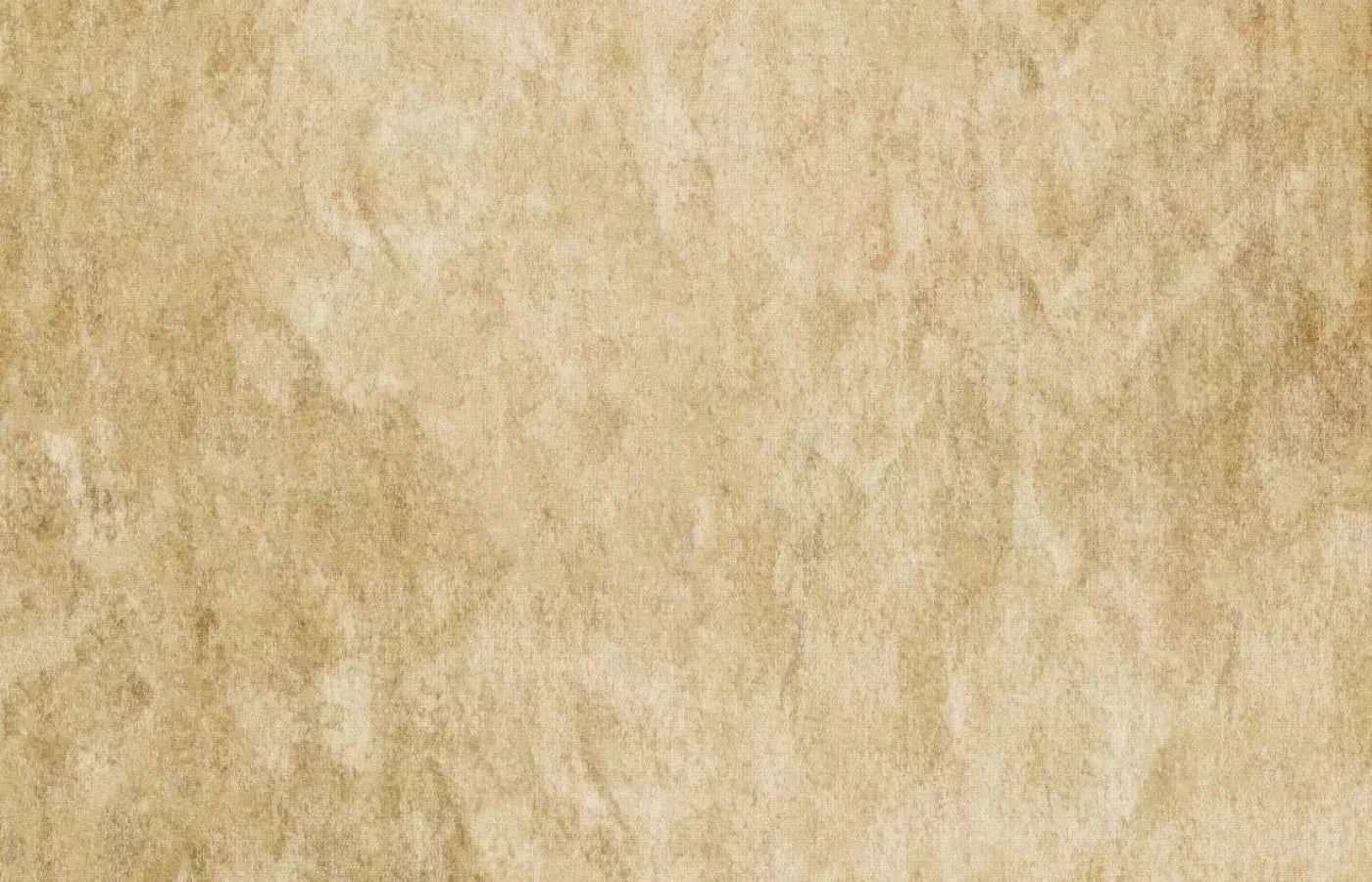 Toasty 12X8 Ultracloth ( 144 X 96 Inch ) Backdrop