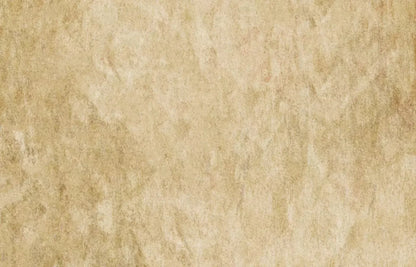 Toasty 12X8 Ultracloth ( 144 X 96 Inch ) Backdrop