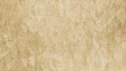 Toasty 14X8 Ultracloth ( 168 X 96 Inch ) Backdrop