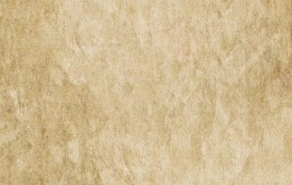 Toasty 16X10 Ultracloth ( 192 X 120 Inch ) Backdrop