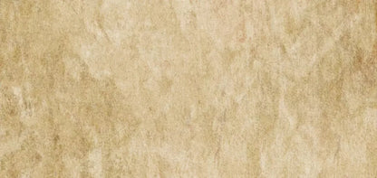 Toasty 16X8 Ultracloth ( 192 X 96 Inch ) Backdrop