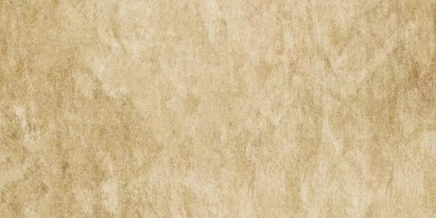 Toasty 20X10 Ultracloth ( 240 X 120 Inch ) Backdrop