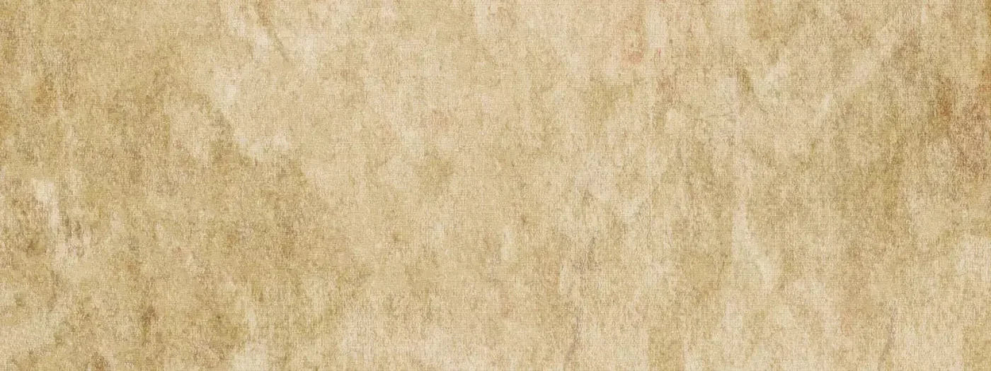 Toasty 20X8 Ultracloth ( 240 X 96 Inch ) Backdrop