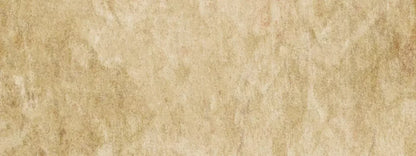 Toasty 20X8 Ultracloth ( 240 X 96 Inch ) Backdrop