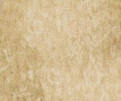 Toasty 5X42 Fleece ( 60 X 50 Inch ) Backdrop