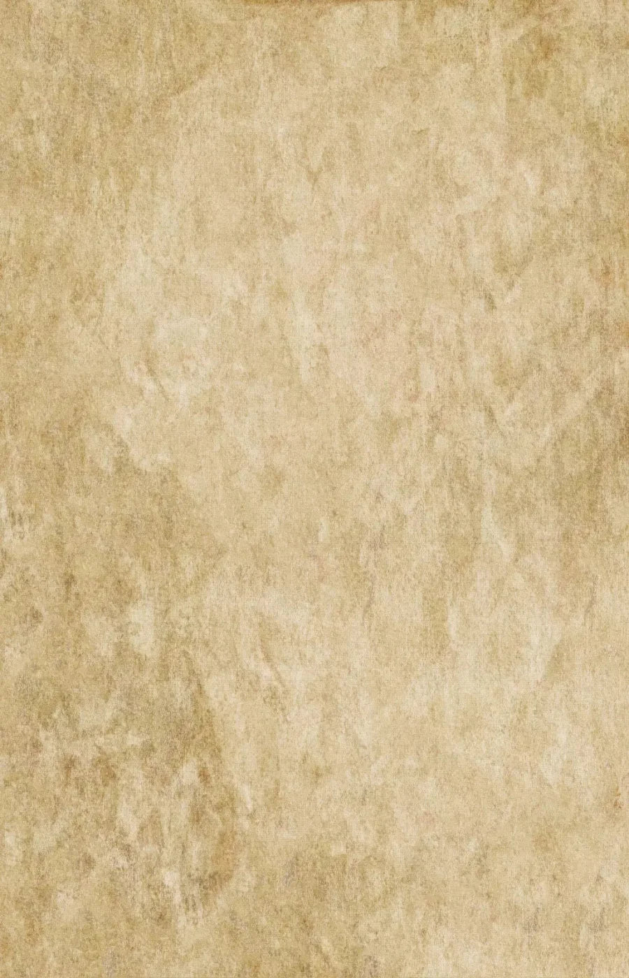 Toasty 8X12 Ultracloth ( 96 X 144 Inch ) Backdrop