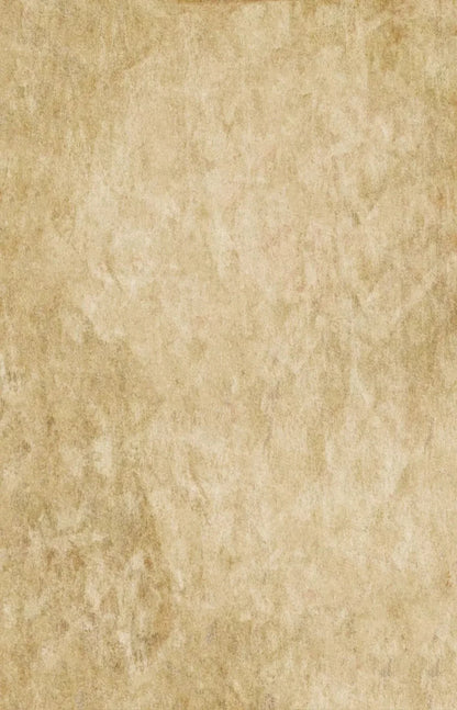 Toasty 8X12 Ultracloth ( 96 X 144 Inch ) Backdrop