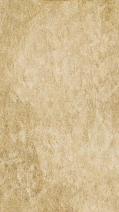 Toasty 8X14 Ultracloth ( 96 X 168 Inch ) Backdrop