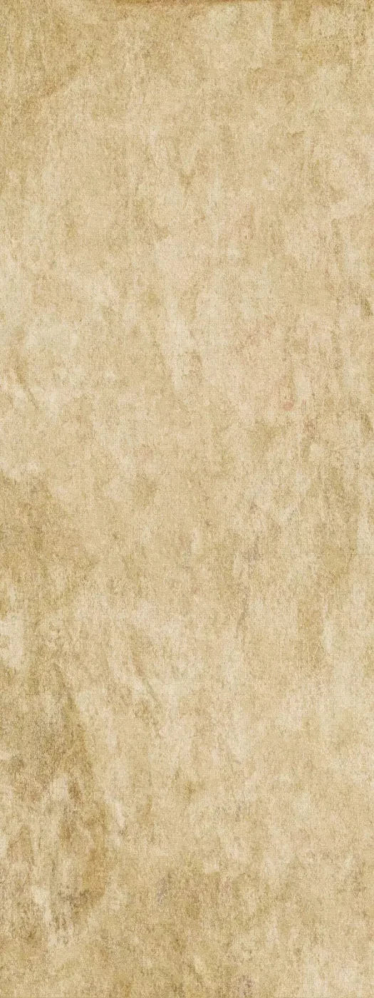 Toasty 8X20 Ultracloth ( 96 X 240 Inch ) Backdrop